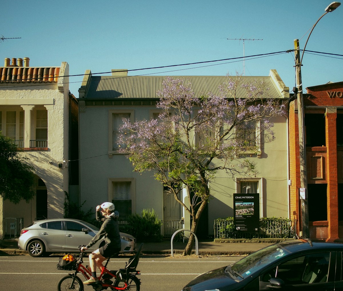Melbourne inner-north residential street with terrace houses and a flowering jacaranda tree